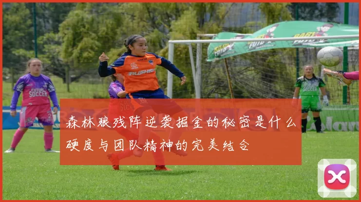 森林狼残阵逆袭掘金的秘密是什么硬度与团队精神的完美结合